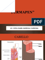 DERMAPEN