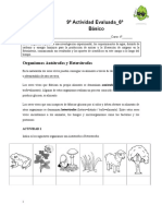 Guía de Trabajo 6º Básico