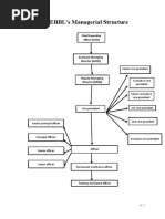 Part 1: EBBL's Managerial Structure: Chief Executive Officer (CEO)