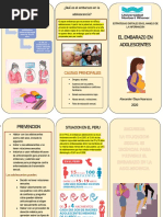 Triptico Embarazo Adolescente