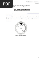 Ciclo Celular, Mitosis, Meiosis