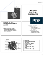 Cardiac Rhythm Disorders: The Human Heart