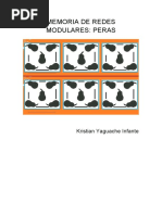 Memoria de Redes Modulares