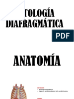 Eventracion y Herniación Diafragmática