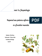 Proiect La Fitopatologie