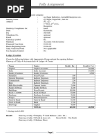 Tally Exercise 1 PDF