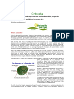 CHLORELLA - The Fountain of Youth PDF