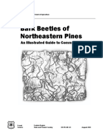 Bark Beetles of Northeastern Pines: An Illustrated Guide To Common Species