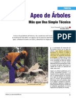 Apeo de Arboles Mas Que Una Simple Tecnica