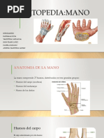 Compac Hand Ortopedia