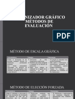 Organizador Gráfico