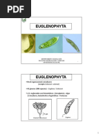 Euglenophyta PDF