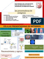 APC Seminario