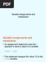 Variable Assignments and Initialization