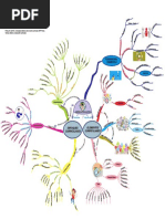 Mapa de Ideas Currículo