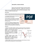 Criptorquidia y Ectopia Testicular