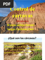 Control de Cárcavas