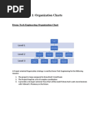 Assignment 1: Organization Charts: Drone Tech Engineering Organization Chart