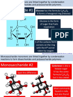 Carbohydrates and Lipids