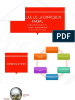 MUSCULOS DE LA EXPRESION FACIAL Presentacion