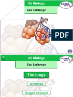 Gas Exchange