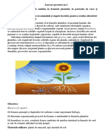 Lucrare Practică nr.2 Biologie CL 9