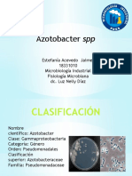 Exposicion Azotobacter