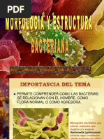 Estructura y Morfología Bacteriana - Q.C. Ricardo Ezequiel Keb Puc