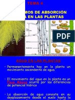 Tema 4 Mecanismo de Accion de Agua en Las Plantas