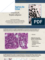 Tejido Adiposo PDF