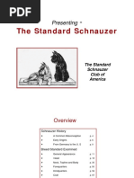 Standard Schnauzer PDF