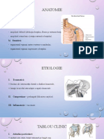 Program de Recuperare Pentru Nervul Circumflex