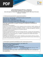 Guía para El Desarrollo Del Componente Práctico Virtual