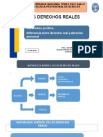 Naturaleza Juridica Derecho Reales