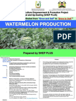 Watermelon Guidebook