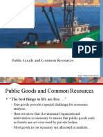 Lecture Slides 2 - Public Goods