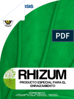 Rhizum Es Ip