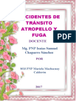 PDF Documento