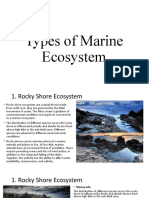 Types of Marine Ecosystem