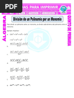 Division de Un Polinomio Por Un Monomio para Quinto de Primaria