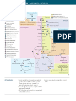 Summary of Pathways