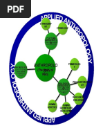 Anthropology Concept Map