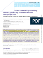 White Matter Structural Connectivity Underlying Semantic Processing Evidence From Brain Damaged Patients