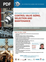 EIT - Control Valve Sizing