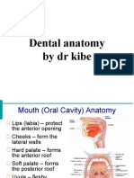 Dental Anatomy by DR Kibe