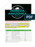 Hidrovía Amazónica