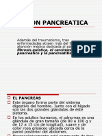 1.4 Función Pancreatica