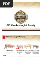 The PIC Camborough Family PDF