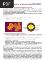 Infecciones Bacterianas Del Sistema Nervioso - Agentes Causales