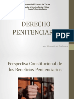 7 Derecho Penitenciario